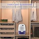 Luftentfeuchter Mini 500ml Raum Entfeuchter Dehumidifier kompakter und tragbarer mini Luftentfeuchter gegen Feuchtigkeit, Schmutz und Schimmel - 5