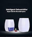 Luftentfeuchter Mini Luftentfeuchter Webat Compact tragbare ML 300 für Feuchtigkeit, Schimmel und das Haus, Küche, Schlafzimmer, Wohnwagen , Büro, Garage - 8